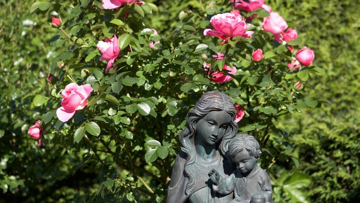 Bronzeskulptur einer Frau mit Kind vor einem Rosenstrauch mit pinken Blüten im Hintergrund.