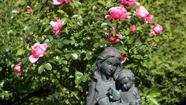 Bronzeskulptur einer Frau mit Kind vor einem Rosenstrauch mit pinken Blüten im Hintergrund.